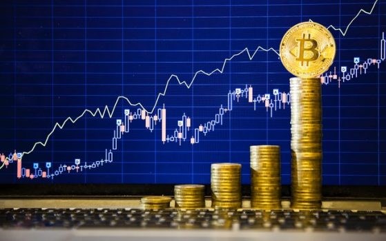 Investimentos Online Em Bitcoin: SheleneLambert