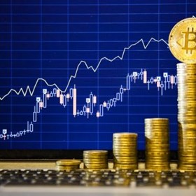 Investimentos Online Em Bitcoin: SheleneLambert